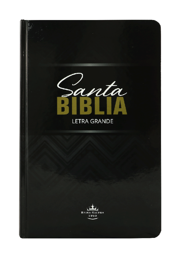 Biblia Reina Valera 1960 Tapa Dura Ilustrada Letra Grande [RVR063CLGPJR